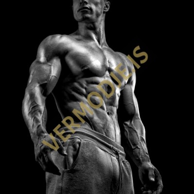 Turinabol Bulking Ciclo - Principiantes